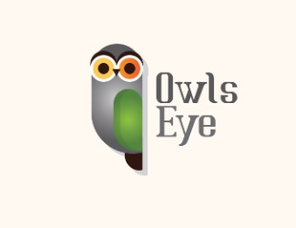 Projektowanie logo dla firm online Sowie Oko